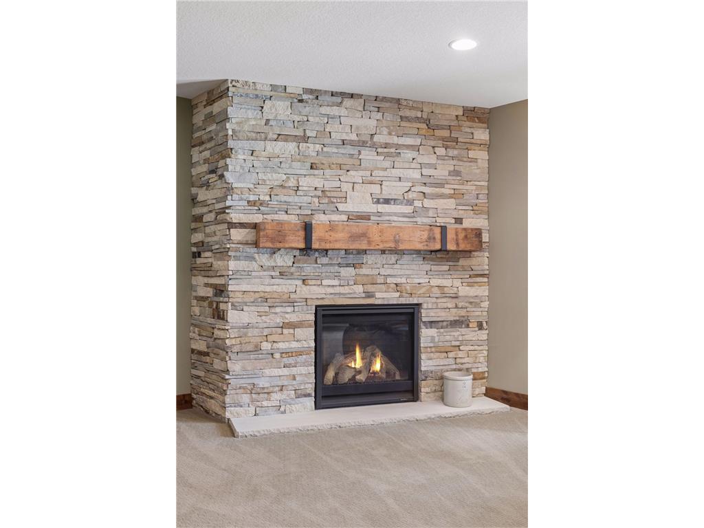 3824 Pascolo Bend Chaska MN 55318 - Bavaria 7056852 image50