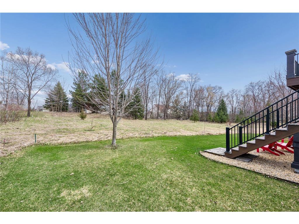 3824 Pascolo Bend Chaska MN 55318 - Bavaria 7056852 image68