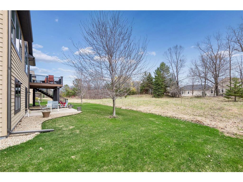 3824 Pascolo Bend Chaska MN 55318 - Bavaria 7056852 image69