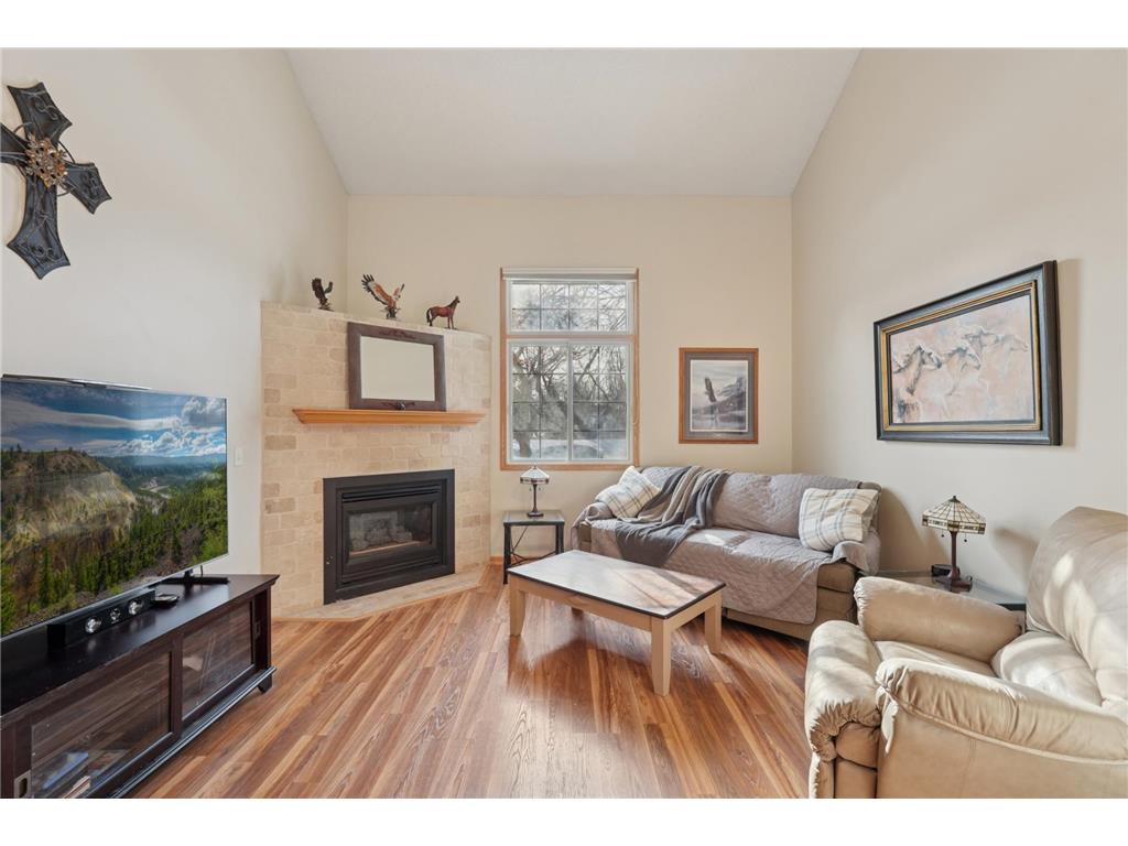 3824 Vermilion Court S #101 Eagan MN 55122 7002082 image6