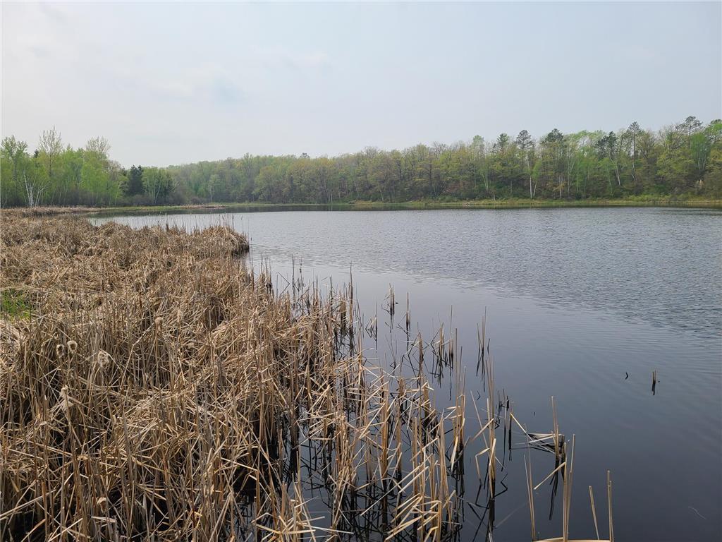 38257 Dove Street Spencer Twp MN 56431 - Olson 6373183 image10