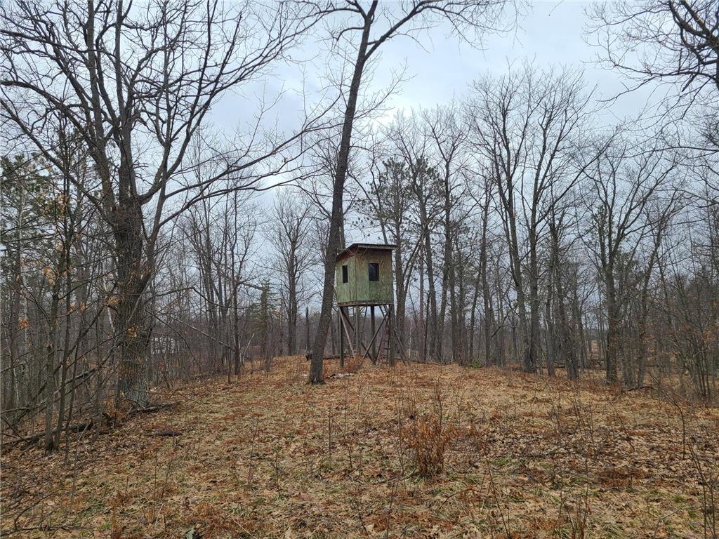 38257 Dove Street Spencer Twp MN 56431 - Olson 6373183 image52