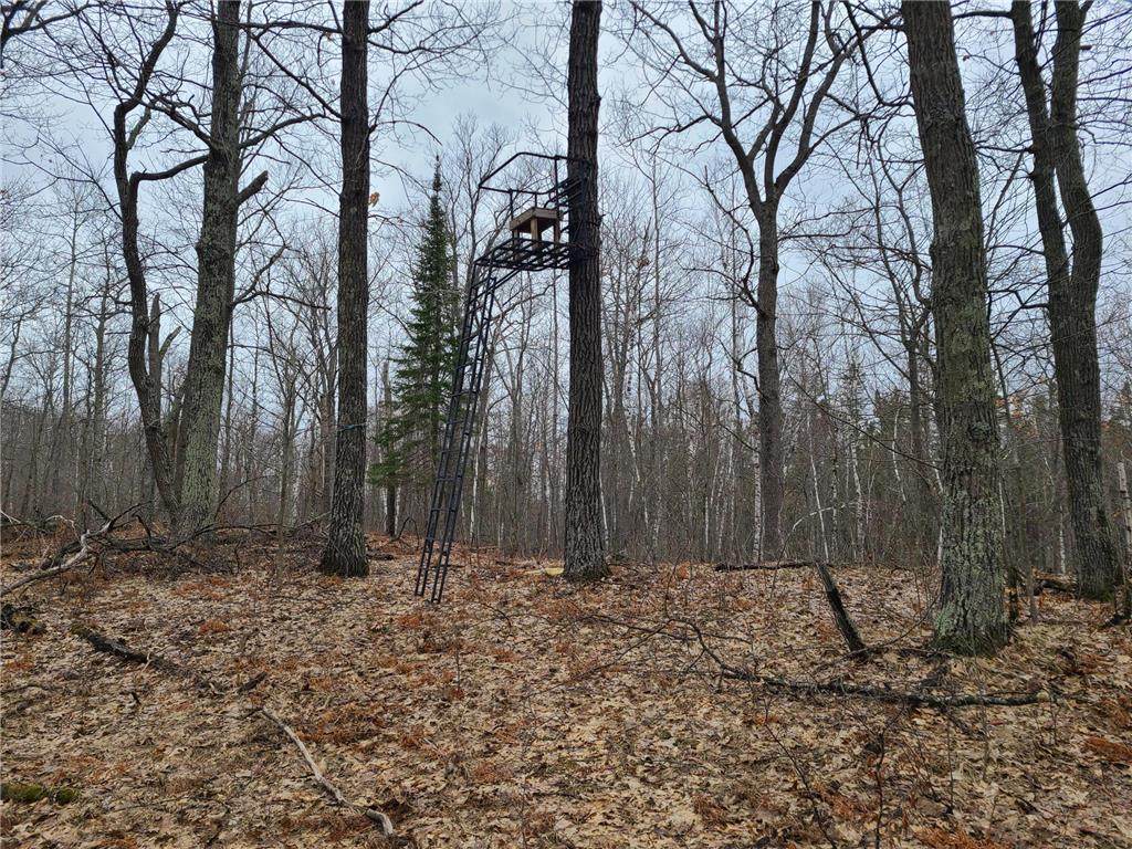 38257 Dove Street Spencer Twp MN 56431 - Olson 6373183 image54