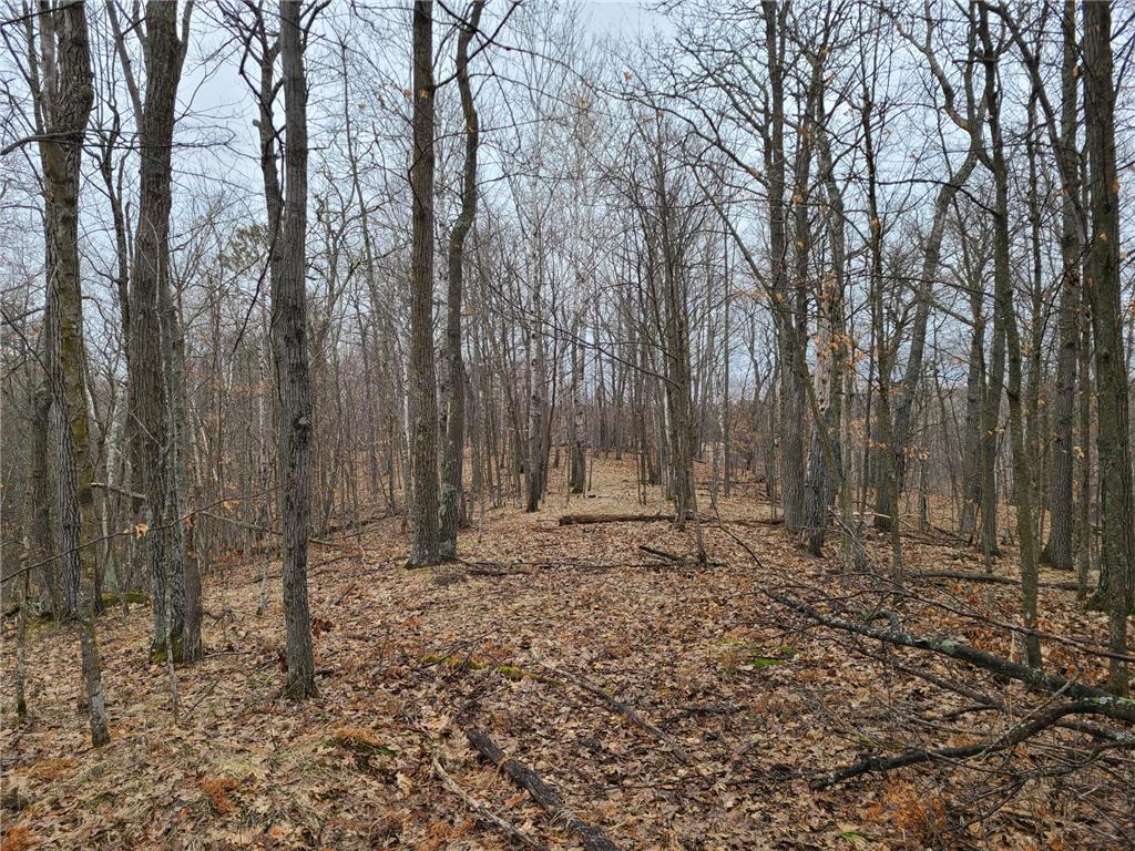 38257 Dove Street Spencer Twp MN 56431 - Olson 6373183 image55