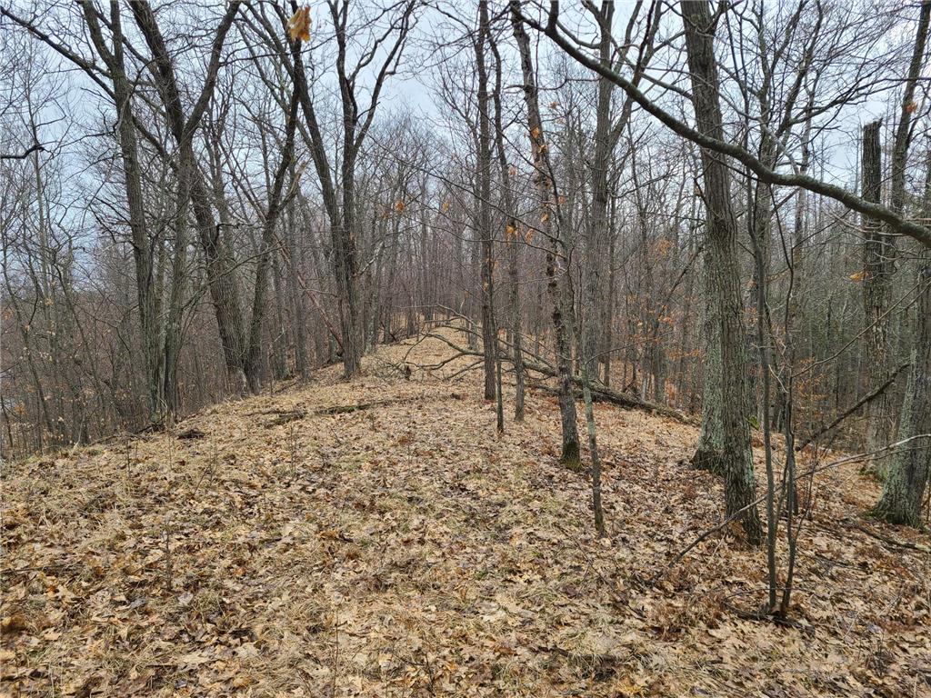 38257 Dove Street Spencer Twp MN 56431 - Olson 6373183 image58