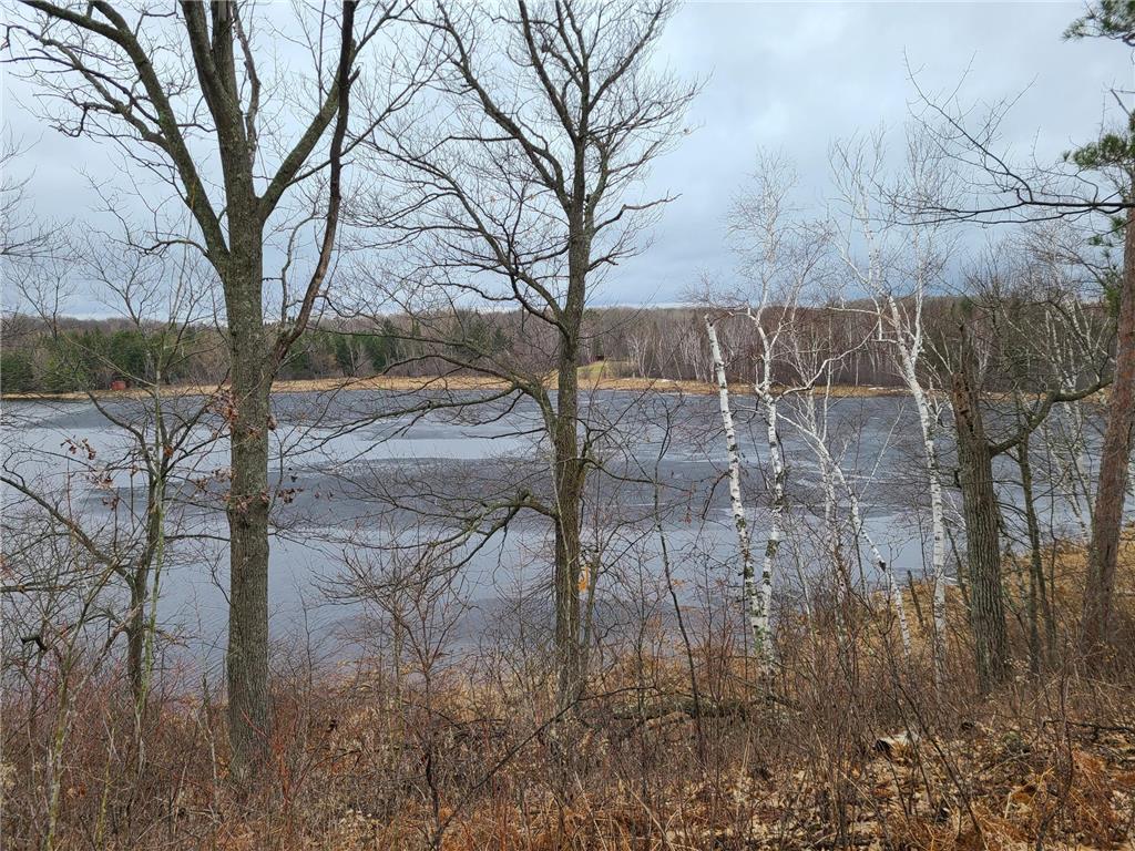 38257 Dove Street Spencer Twp MN 56431 - Olson 6373183 image59