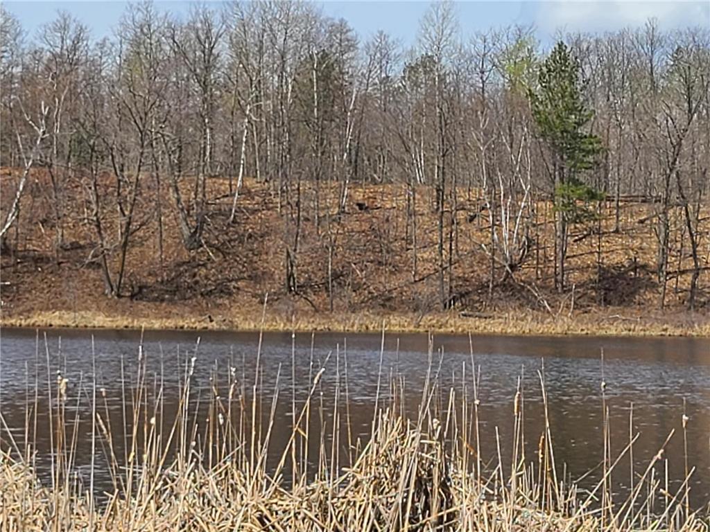 38257 Dove Street Spencer Twp MN 56431 - Olson 6373183 image61