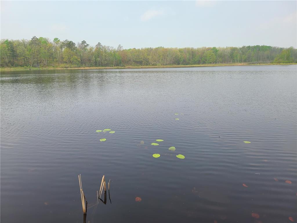 38257 Dove Street Spencer Twp MN 56431 - Olson 6373183 image7