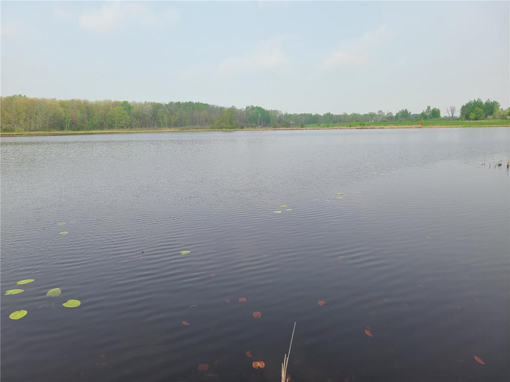 38257 Dove Street Spencer Twp MN 56431 - Olson 6373183 image8