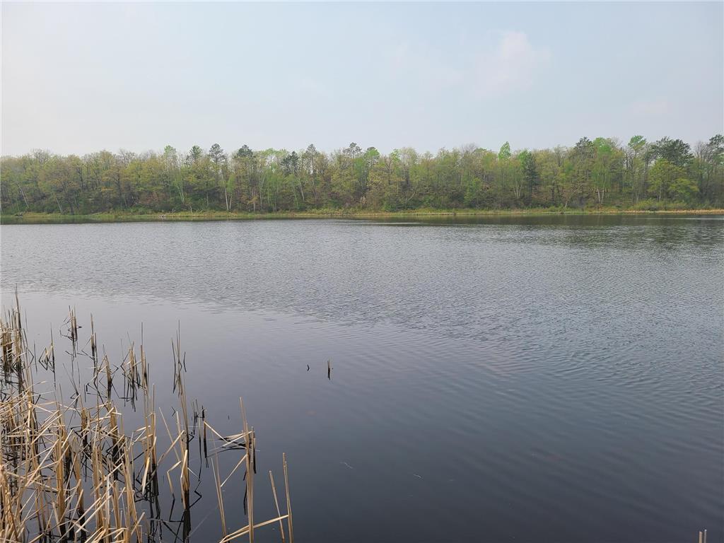 38257 Dove Street Spencer Twp MN 56431 - Olson 6373183 image9