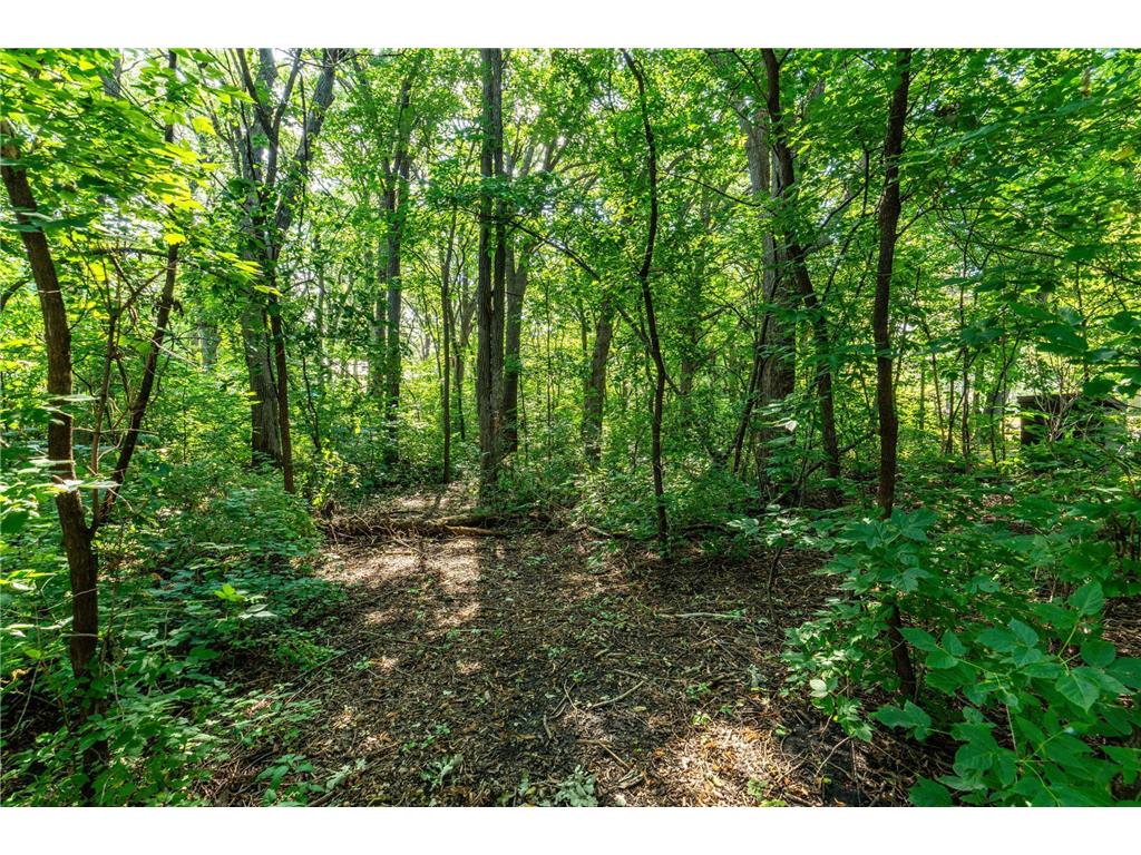 38287 Country Estate Road Clitherall Twp MN 56515 - Clitherall 6772994 image16