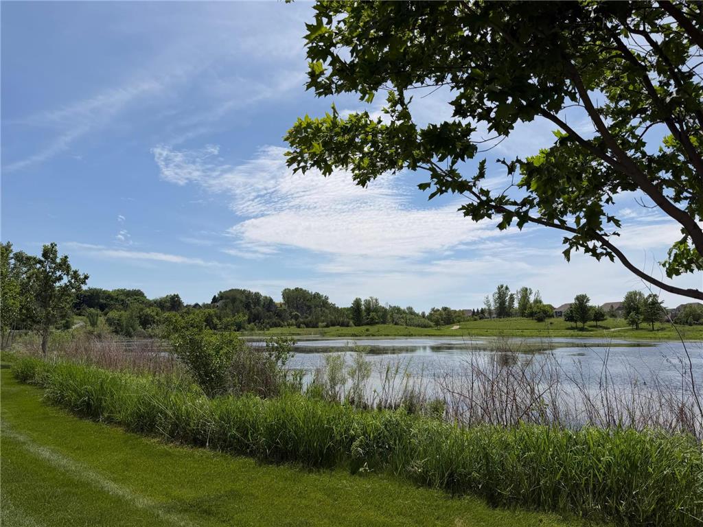 3829 Pascolo Bend Chaska MN 55318 - Bavaria 6809623 image29