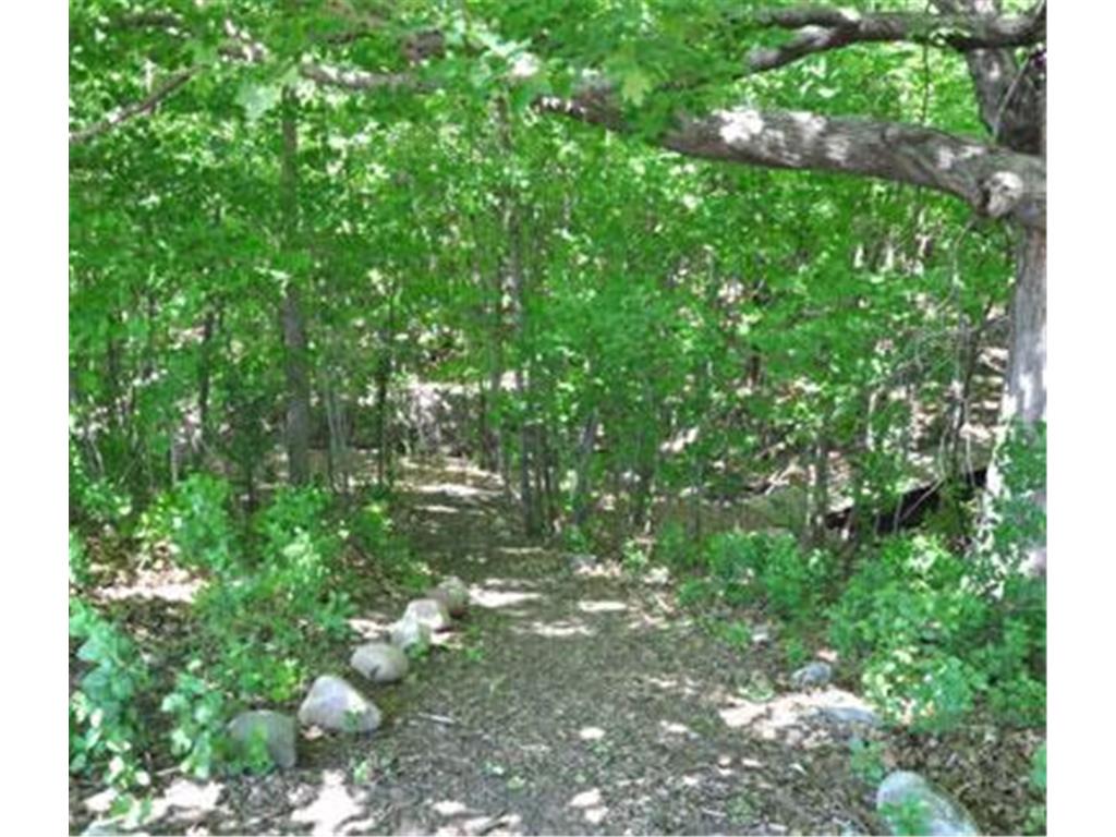 3829 Pascolo Bend Chaska MN 55318 - Bavaria 6809623 image34