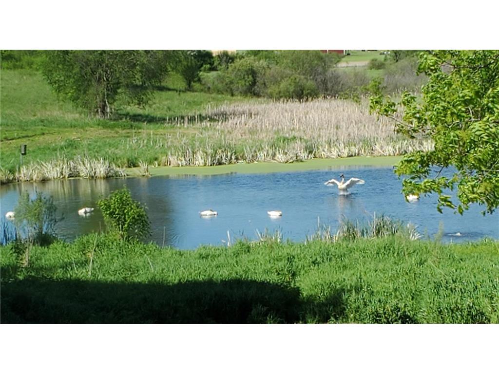 38321 Baugh Street NW Dalbo Twp MN 55371 7050421 image71