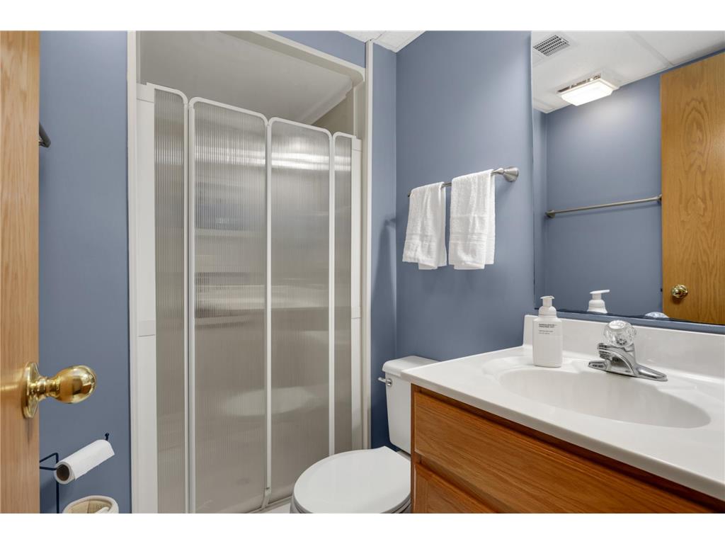 3839 Shannon Drive Hastings MN 55033 7086474 image18