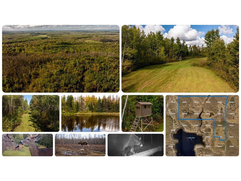384 Acres TBD Little Pine Road Emily MN 56447 7102876 image1