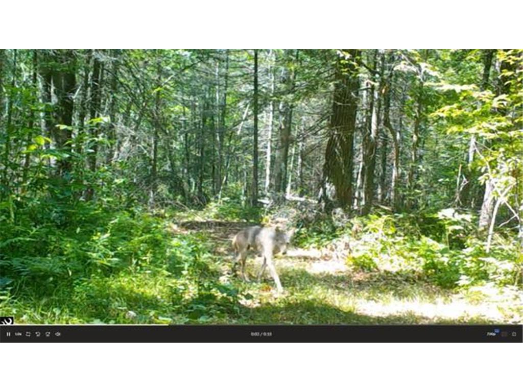 384 Acres TBD Little Pine Road Emily MN 56447 7102876 image42