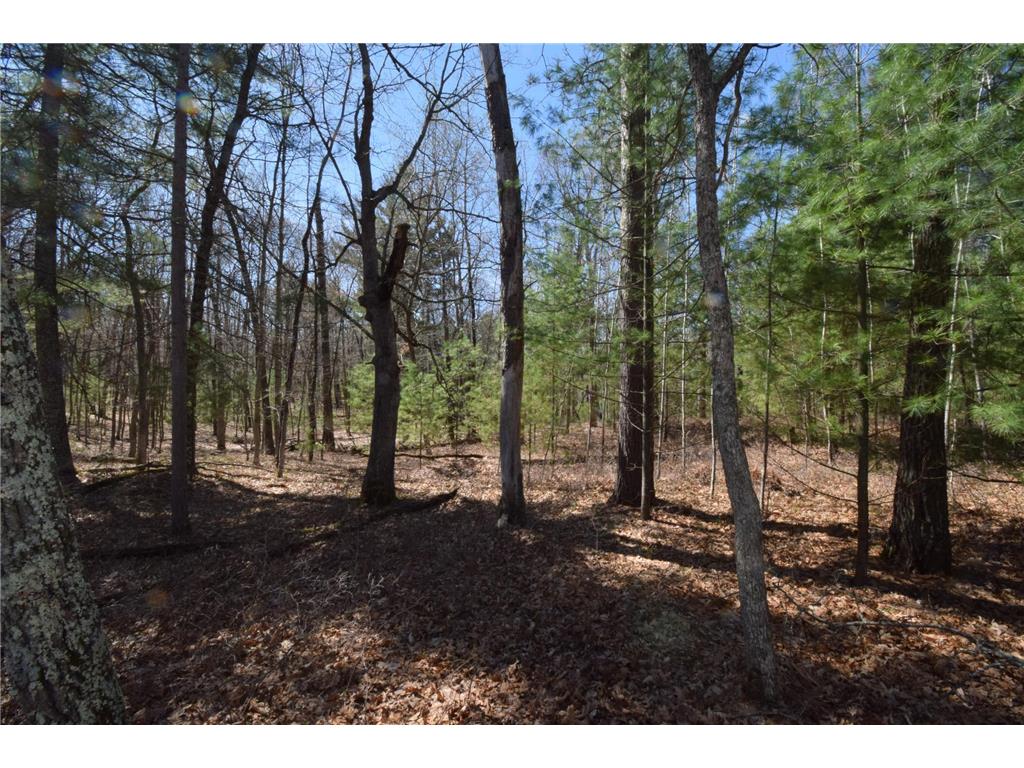 3841 Wintergreen Lane Danbury WI 54830 7063348 image82