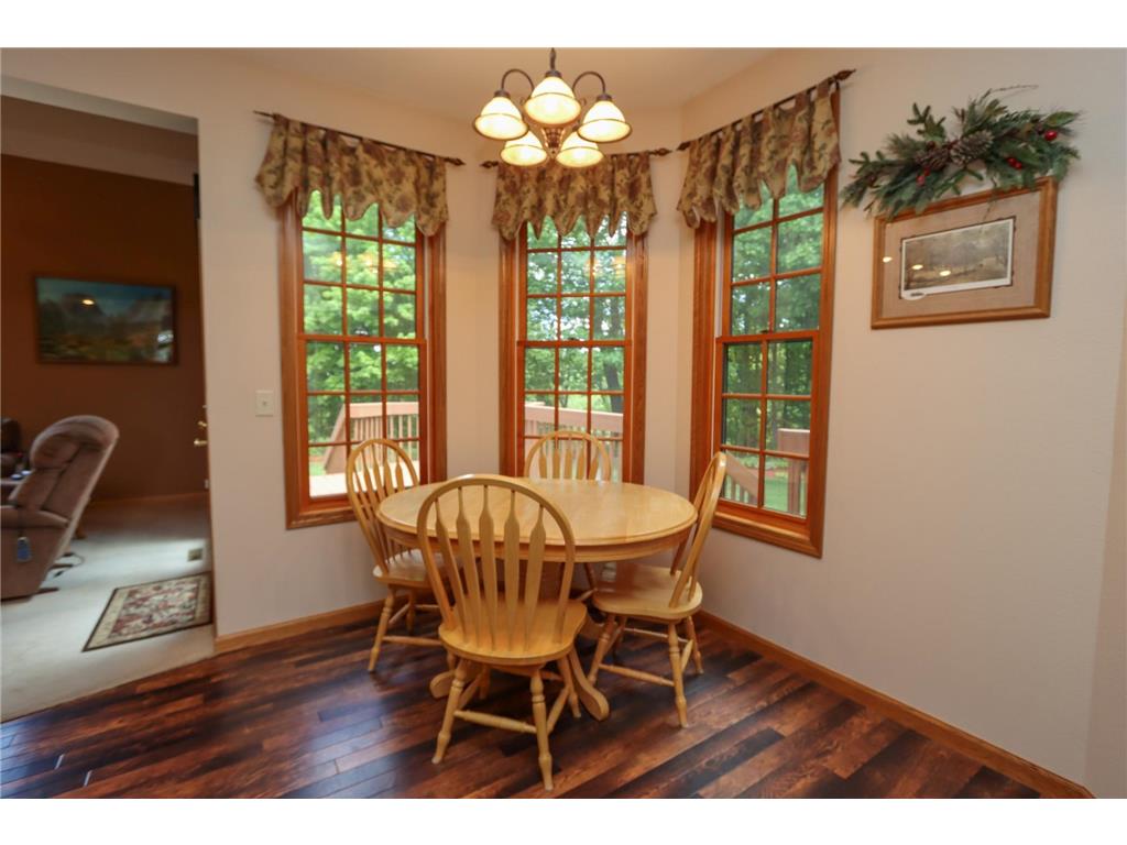 38462 498th Street Belgrade Twp MN 56003 7079851 image12