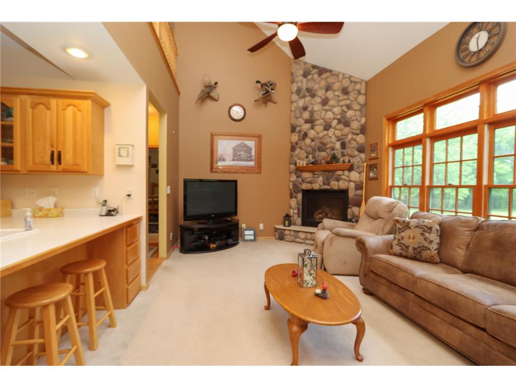 38462 498th Street Belgrade Twp MN 56003 7079851 image16