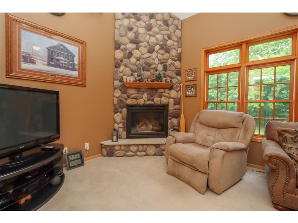 38462 498th Street Belgrade Twp MN 56003 7079851 image19