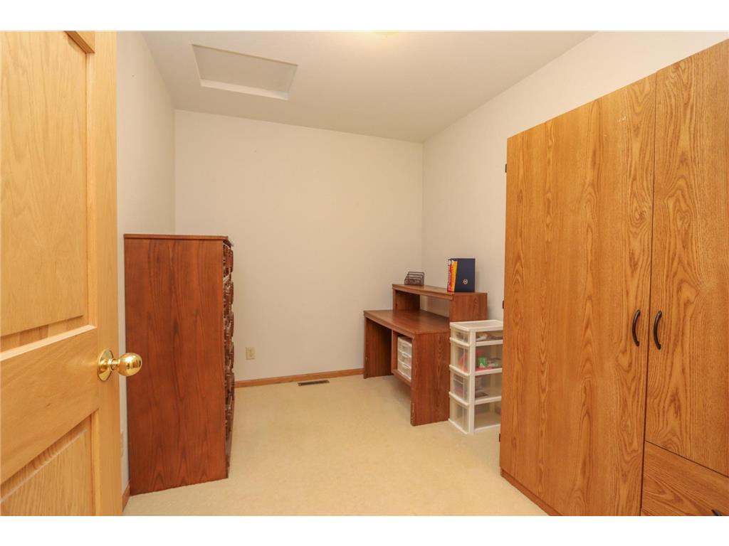 38462 498th Street Belgrade Twp MN 56003 7079851 image36