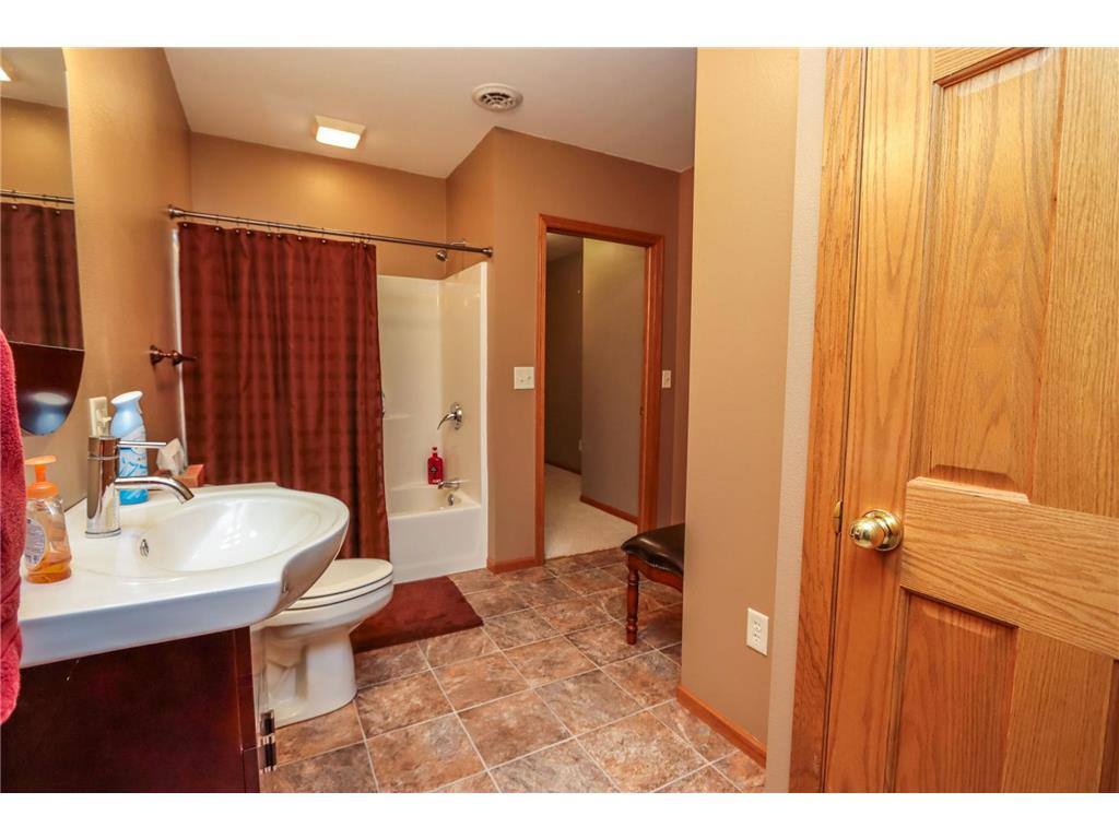 38462 498th Street Belgrade Twp MN 56003 7079851 image41