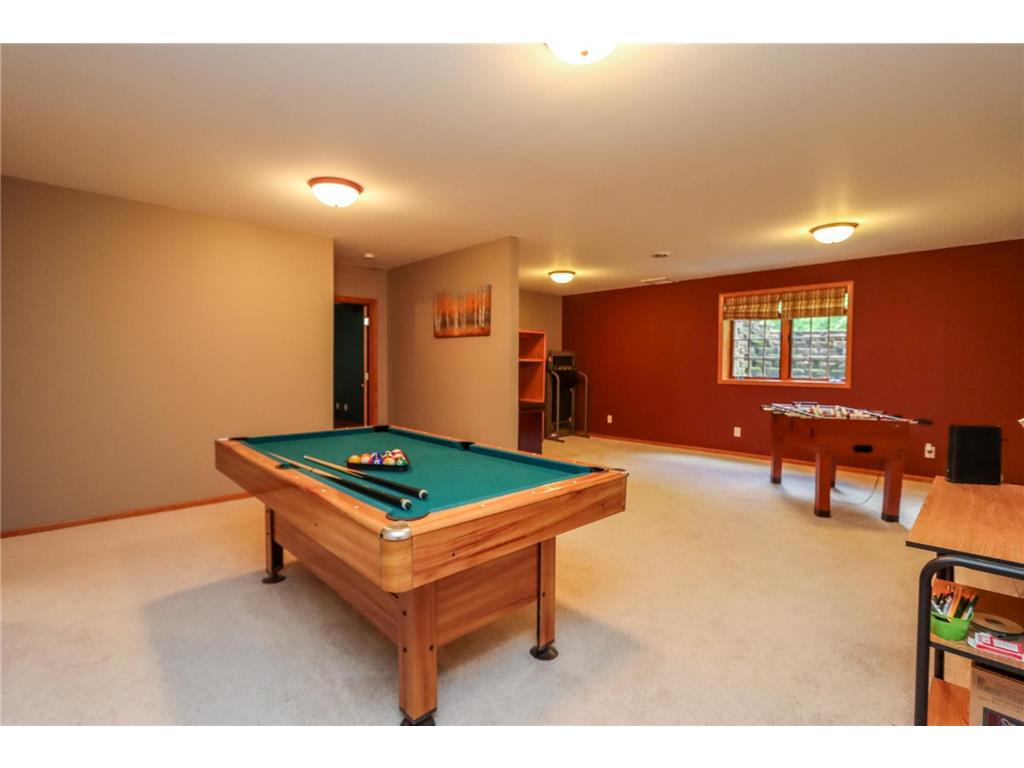 38462 498th Street Belgrade Twp MN 56003 7079851 image43