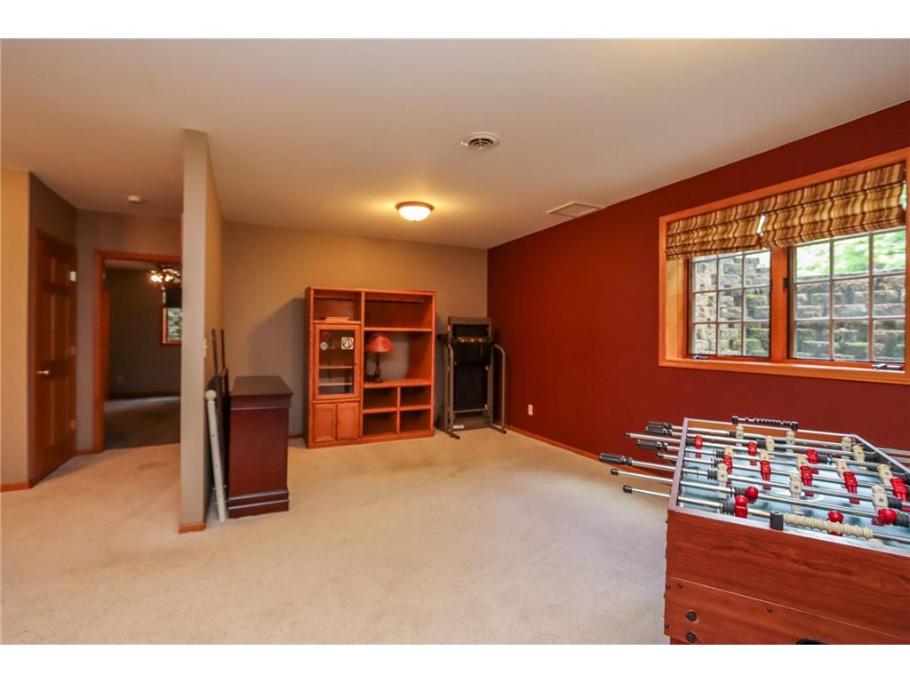 38462 498th Street Belgrade Twp MN 56003 7079851 image44