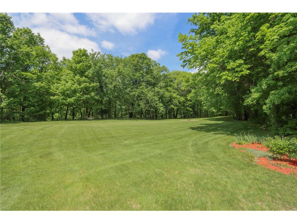 38462 498th Street Belgrade Twp MN 56003 7079851 image52