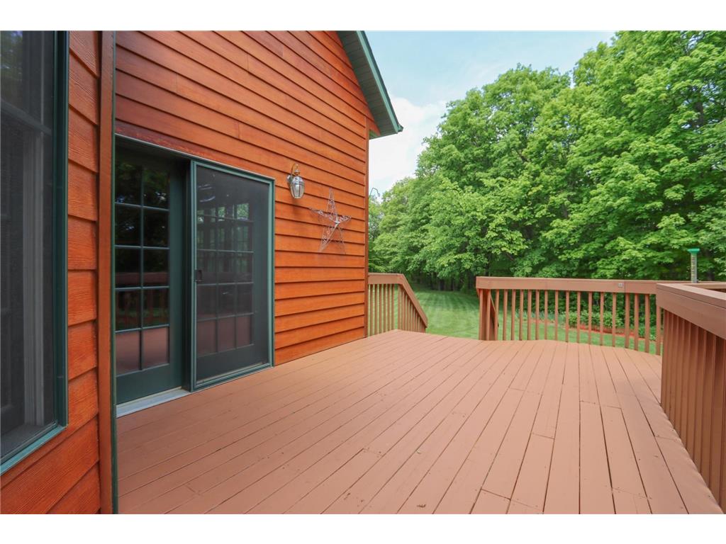 38462 498th Street Belgrade Twp MN 56003 7079851 image54