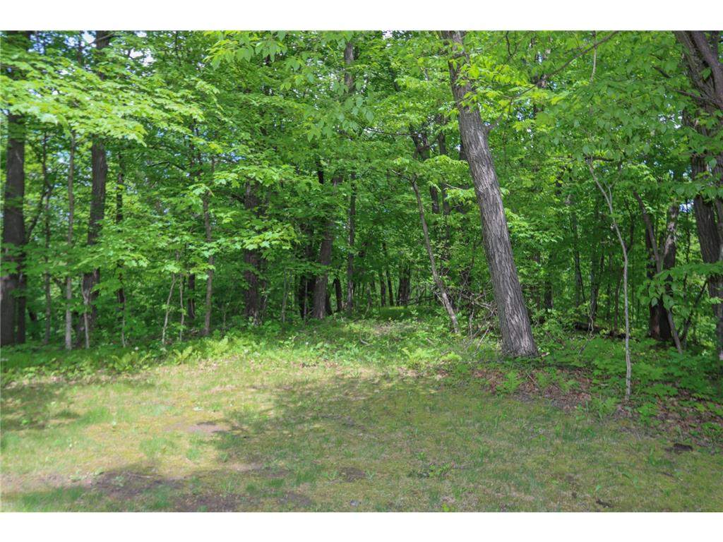 38462 498th Street Belgrade Twp MN 56003 7079851 image56
