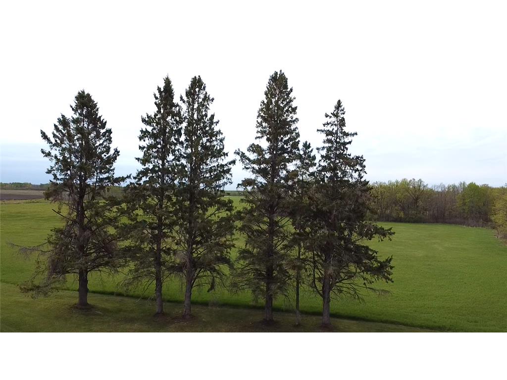 38477 390th Avenue Aitkin MN 56431 - Mississippi 7079443 image17