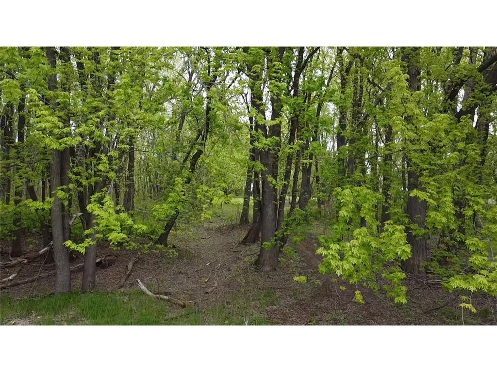 38477 390th Avenue Aitkin MN 56431 - Mississippi 7079443 image25