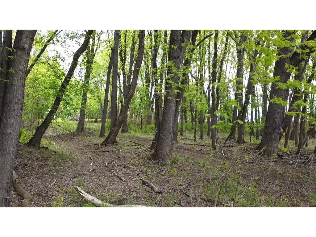 38477 390th Avenue Aitkin MN 56431 - Mississippi 7079443 image26