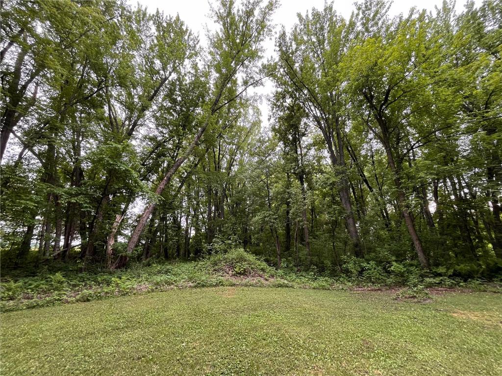 38477 390th Avenue Aitkin MN 56431 - Mississippi 7079443 image34