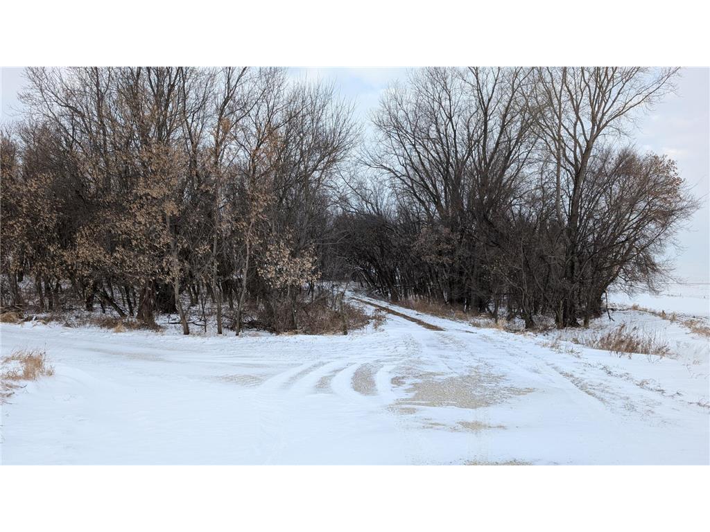 38489 100th Avenue Way Leon Twp MN 55009 6642449 image1