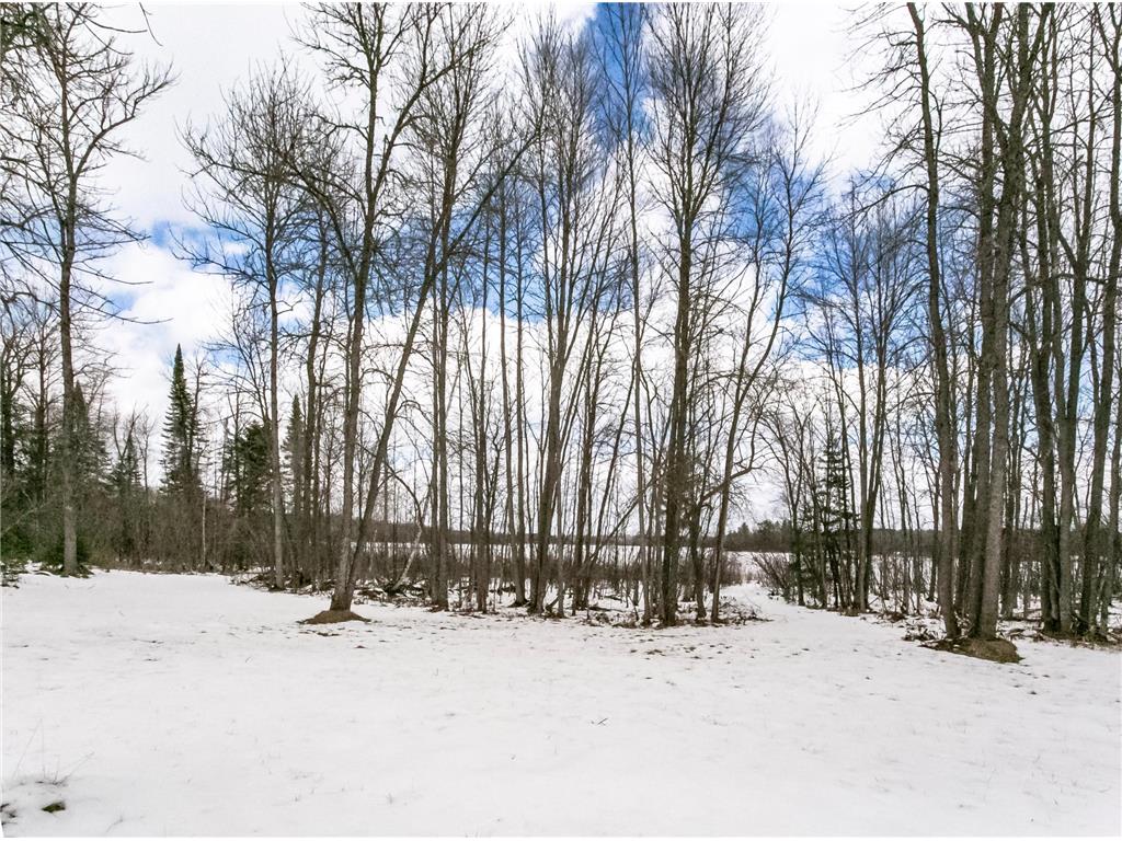 38504 Grave Lake Road Deer River MN 56636 - Grave 7054455 image32