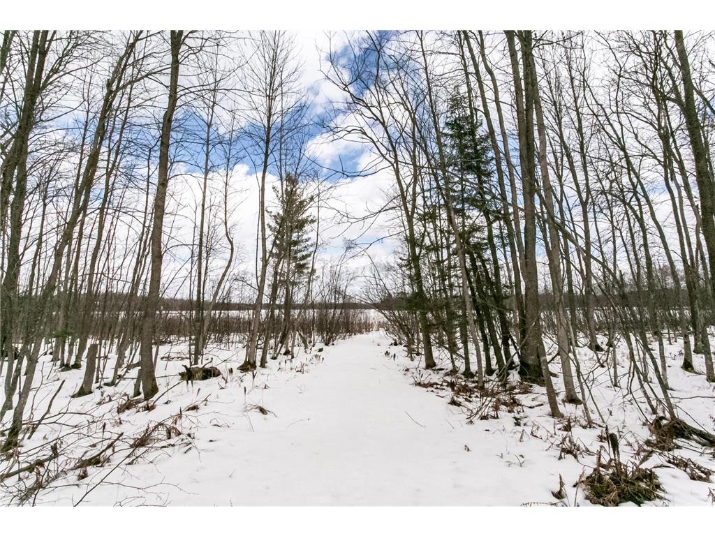 38504 Grave Lake Road Deer River MN 56636 - Grave 7054455 image33
