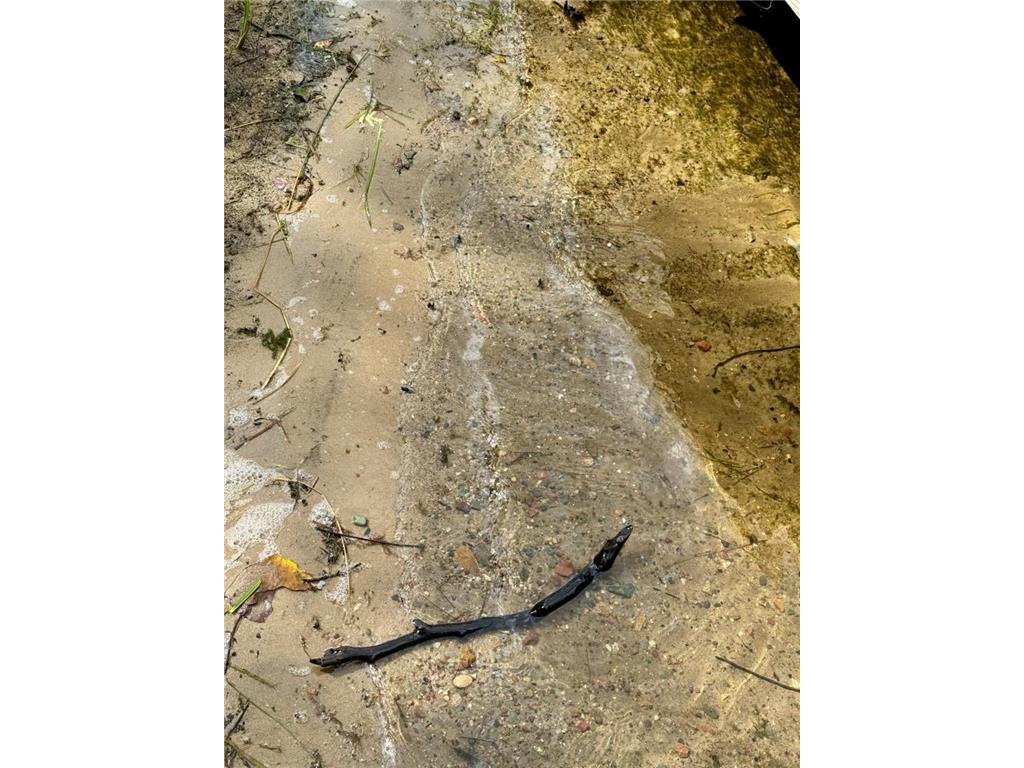 38509 Pickerel Trail Crosslake MN 56442 - Pickeral Lake 6823745 image54