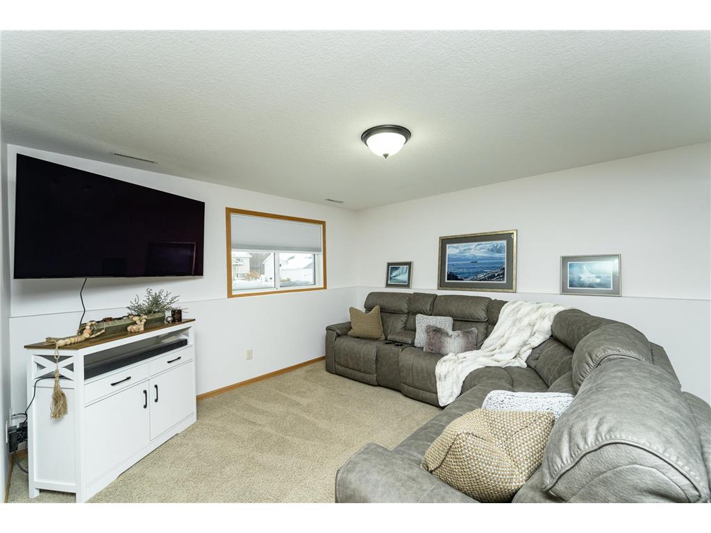 3852 46th Avenue NW Rochester MN 55901 6823827 image18