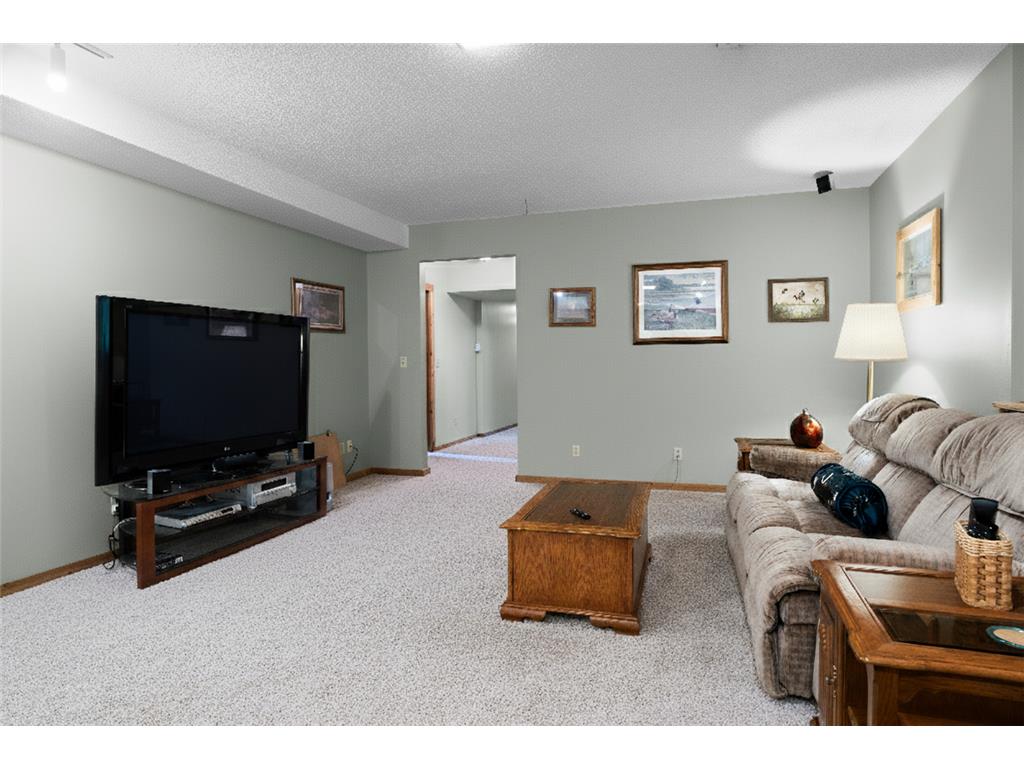 3853 90th Street E Inver Grove Heights MN 55076 6798103 image29