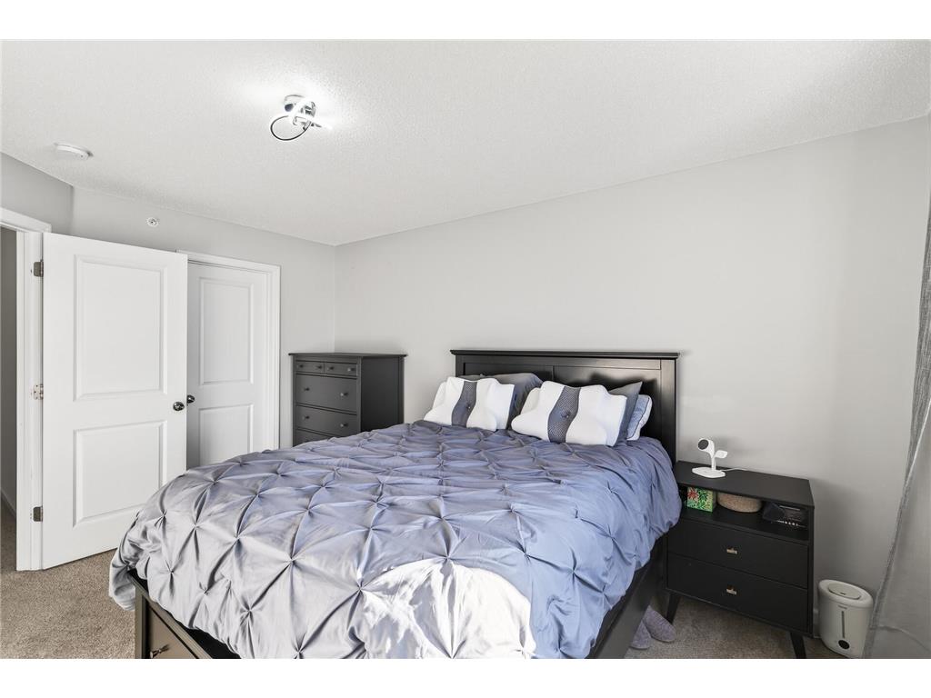 3854 232nd Avenue NW #109 Saint Francis MN 55070 7017611 image14