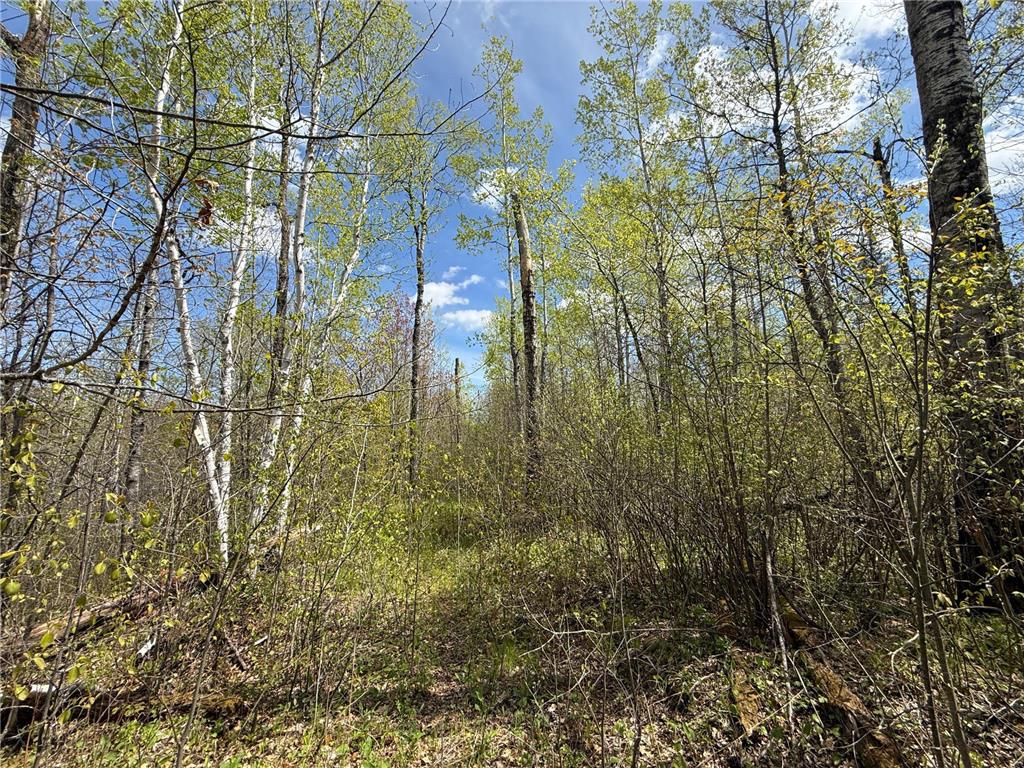 3854 Rasmussen Rd. Wright MN 55798 - Prairie River 7070634 image10