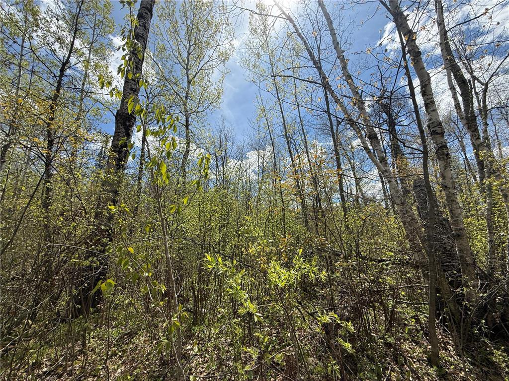 3854 Rasmussen Rd. Wright MN 55798 - Prairie River 7070634 image11