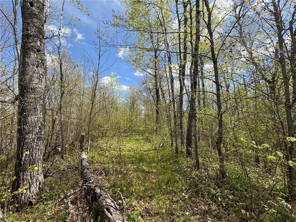 3854 Rasmussen Rd. Wright MN 55798 - Prairie River 7070634 image12