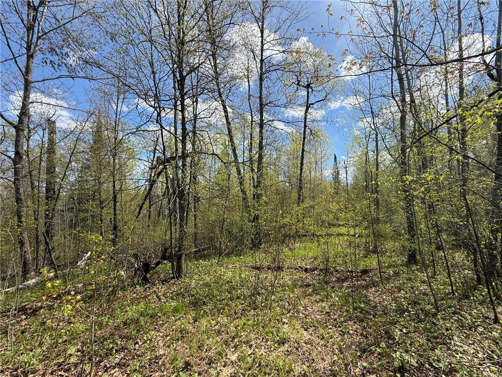 3854 Rasmussen Rd. Wright MN 55798 - Prairie River 7070634 image13