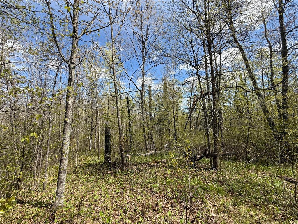 3854 Rasmussen Rd. Wright MN 55798 - Prairie River 7070634 image14
