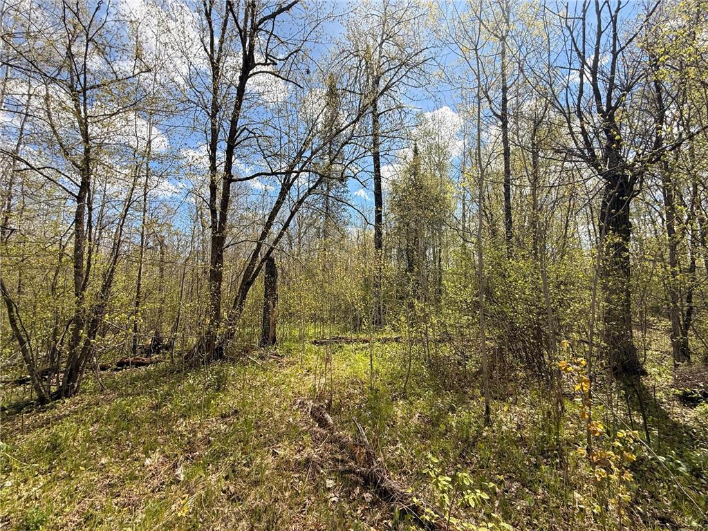 3854 Rasmussen Rd. Wright MN 55798 - Prairie River 7070634 image15