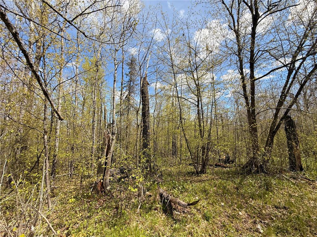 3854 Rasmussen Rd. Wright MN 55798 - Prairie River 7070634 image16